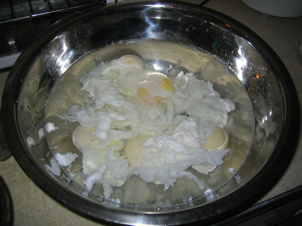 poached eggs