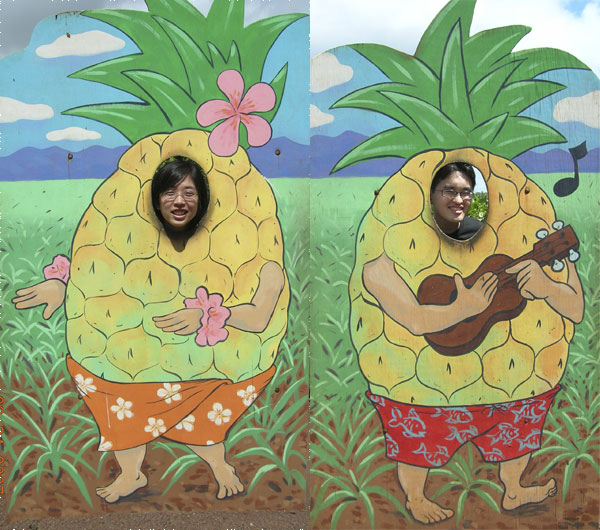 happy pineapples