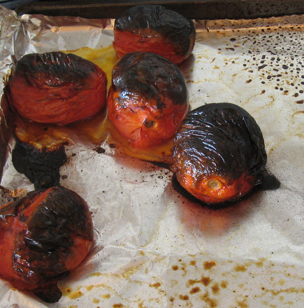 roasted tomatoes